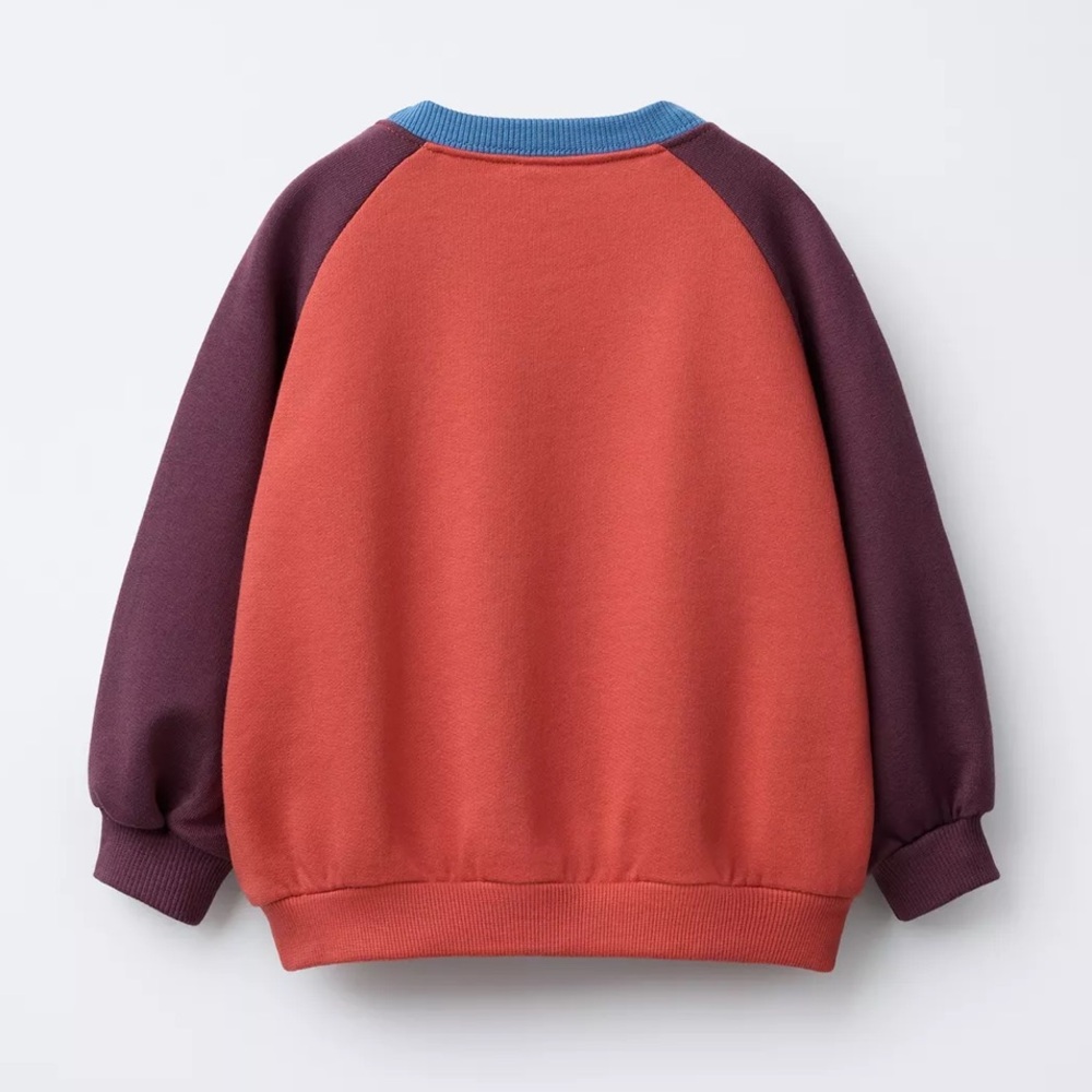 Zara Kids Red and Purple Sweater - Picture 4 of 5